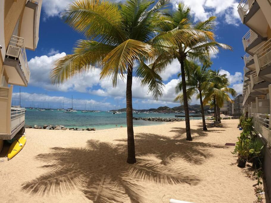 Appartement Piscine Et Plage Privee ! Marigot  Buitenkant foto